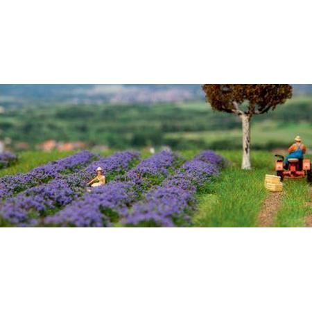 Faller - Lavender field - FA181279 - modelbouwsets, hobbybouwspeelgoed voor kinderen, modelverf en accessoires
