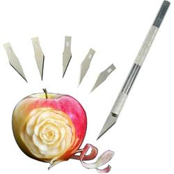 Precisie hobby penmes met 5 extra mesjes - Scalpel mes voor houtsnijwerk, fruit decoratie, leerbewerking etc.