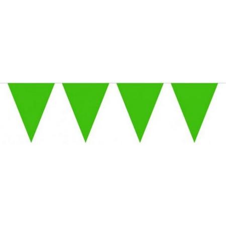Vlaggenlijn Groen vlaggelijn 10 vlaggen ca 10 meter lang 29 cm hoog en 20 cm lang - Groen vlaggelijn