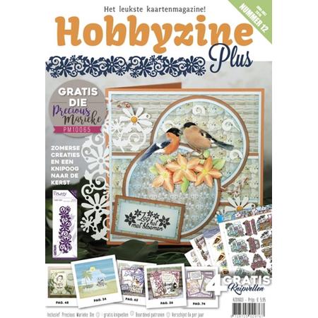 Hobbyzine Plus 12
