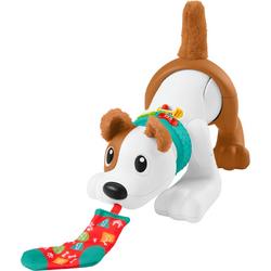 Fisher-Price Sleep de puppy - Babyspeelgoed met Licht en Geluid