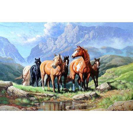 Diamond Painting Paarden - 35 x 50 cm - Zelf Tekenen - Diamanten Tekening – Speelgoed