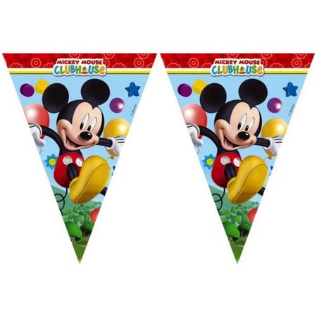 Vlaggenlijn Mickey Mouse: 3 meter