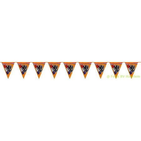 Vlaggenlijn Oranje Hollandse Leeuw - 6 meter