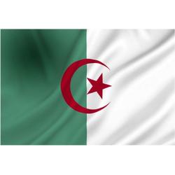 Vlag Algerije 100x150 cm