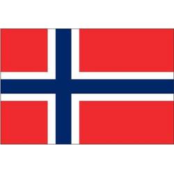 Decoratievlag Noorwegen 90 x 150 cm