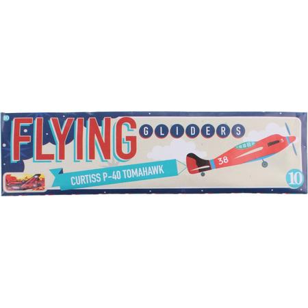 Free And Easy Vliegtuig Flying Gliders 18 Cm Curtiss Tomahawk