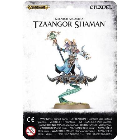 Age of Sigmar Tzeentch Arcanites: Tzaangor Shaman