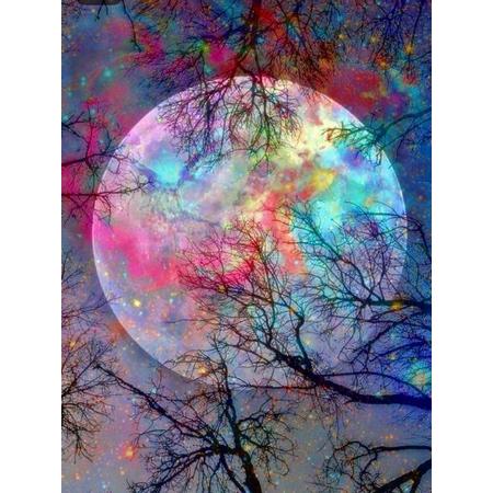 Diamond painting 40 x 50 cm maan met takken in een boom ronde steentjes volledige bedrukking - mooie kleuren- herfst - zonder bladeren - volle maan - sterren