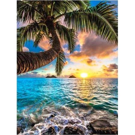 Diamond painting 40 x 50 cm palm palmboom volledige bedrukking ronde steentjes direct leverbaar - palm - oceaan - zee - zonsondergang - landschap - zon - rotsen - golven -nieuw