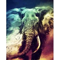 Diamond painting olifant 40 x 50 cm volledige bedrukking ronde steentjes direct leverbaar - nieuw - gekleurde olifant - gekleurd - Olifant -  Elefant -