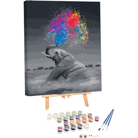Schilderen Op Nummer met Frame - Gekleurde Olifant - Hobbypakket - 40x50 cm