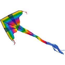 Vlieger dragon kite Rainbow