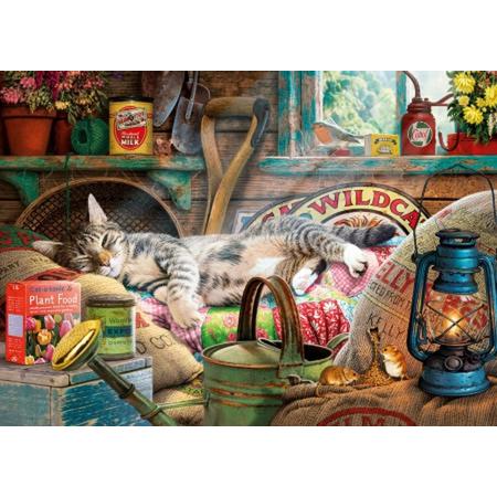Snoozing in the Shed - Steve Read (1000)
