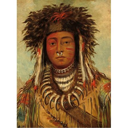 George Catlin: Boy Chief - Ojibbeway, 1843 puzzel 2000 stukjes