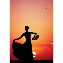 Grafika Puzzel Flamenco at Sunset 3900 stukjes