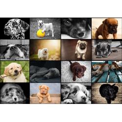 Legpuzzel - 1500 stukjes - Collage - Honden - Grafika