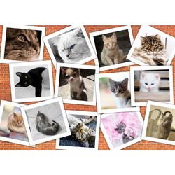 Legpuzzel - 1500 stukjes - Collage - Katten - Grafika