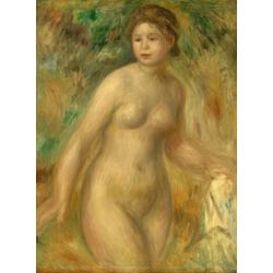 Legpuzzel - 2000 stukjes -  Auguste Renoir : Nude, 1895 - Grafika