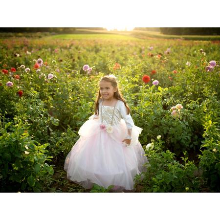 Prinsessenjurk meisje 3-4 jaar - Prinsessenjurk verkleedkleding - prinsessenjurk -  Golden Rose - Prinses - Verkleden