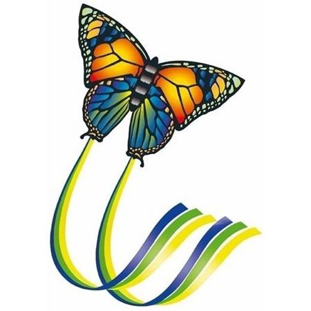 Vlinder vlieger gekleurd