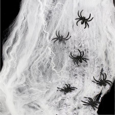 spinnenweb met 5 spinnen - spinnenrag - kindercrea - spinnen - halloween -