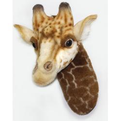 Giraffe hoofd