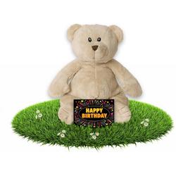 Verjaardag knuffel teddybeer - 23 cm - incl. gratis verjaardagskaart