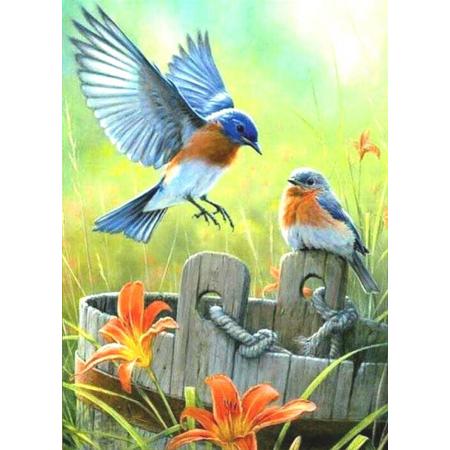 Happy Painter® Diamond Painting XL 40x50cm volwassenen - Vogels op emmer - volledig pakket