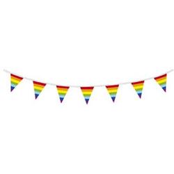 Regenboog vlaggenlijn 10 meter