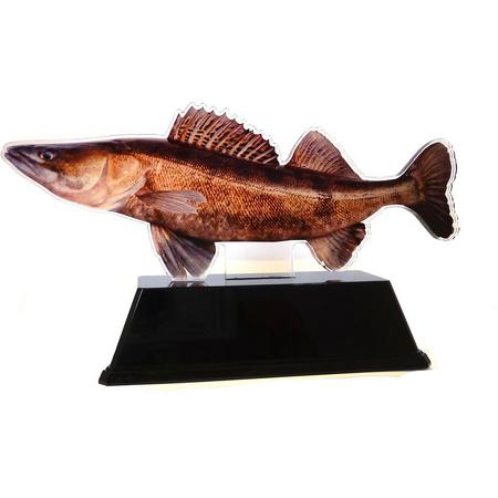 Vistrofee Real Fish Snoekbaars 20 cm - Prijs Snoekbaarswedstrijd Beker Viswedstrijd Snoekbaars