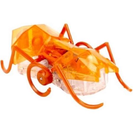 Hexbug Actievoertuig Micro Ant Jongens 5 X 7,8 X 9,3 Cm Oranje