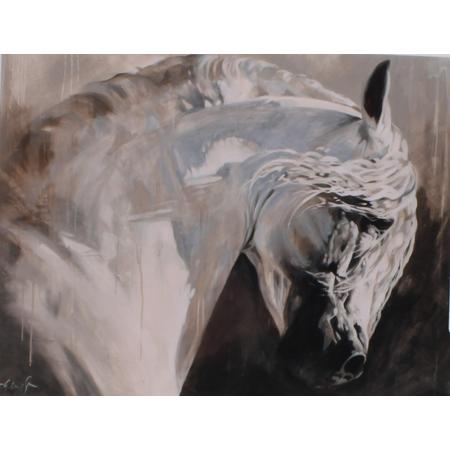 Horka Wenskaart Paard Bruine Achtergrond 12,5 X 18 Cm