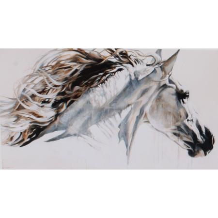 Horka Wenskaart Paard Witte Achtergrond 12,5 X 18 Cm