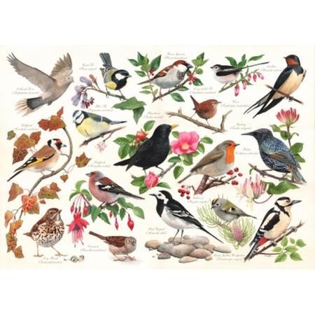 Birds in My Garden- The House of Puzzles