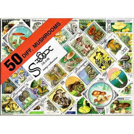 Postzegelpakket - 50 verschillende postzegels Paddenstoelen