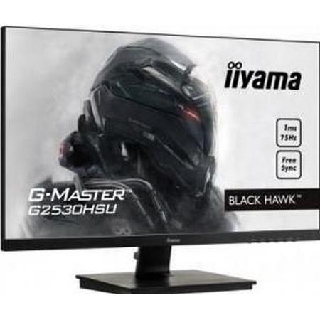 Iiyama G-Master Black Hawk - 24,5 LED Gaming Monitor - Full HD
