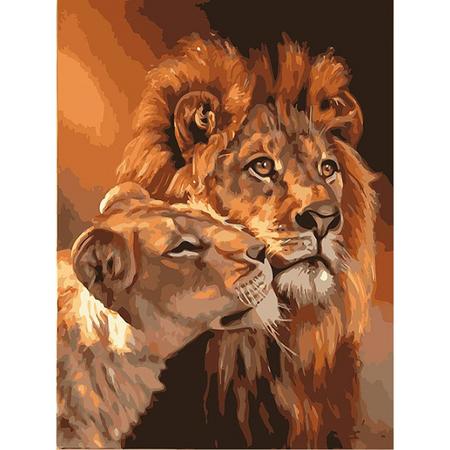Schilderen op nummer - Volwassen leeuw met welp - 40 x 50 centimeter