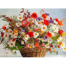 Schilderen op nummer Mand met kleurrijke bloemen - 40 x 50 centimeter