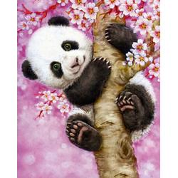Schilderen op nummer Panda in een boom - 40 x 50 centimeter
