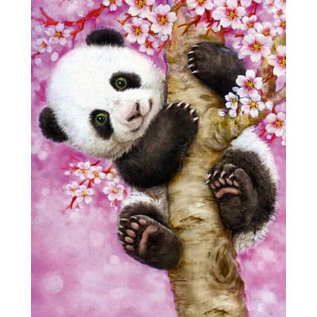 Schilderen op nummer Panda in een boom - 40 x 50 centimeter