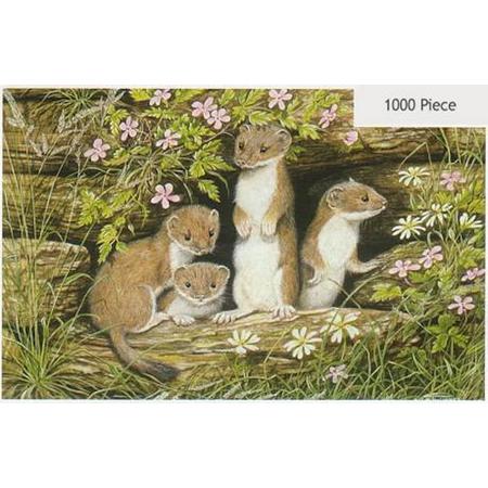 Baby Stoats (1000)