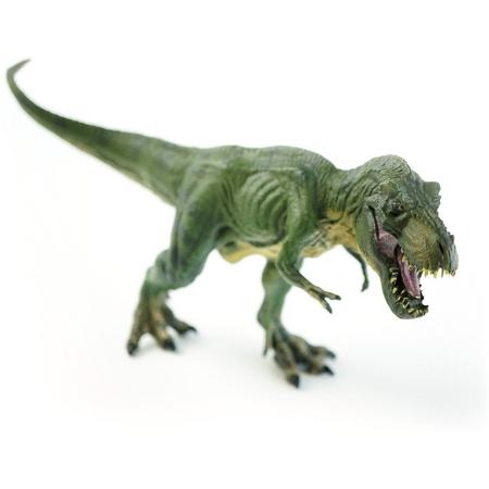 JollyDinos - Tyrannosaurus Rex - handgeschilderd - dinosaurus