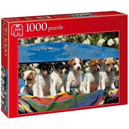 Jumbo Nieuwsgierige Puppies op de Bank - Puzzel - 1000 stukjes