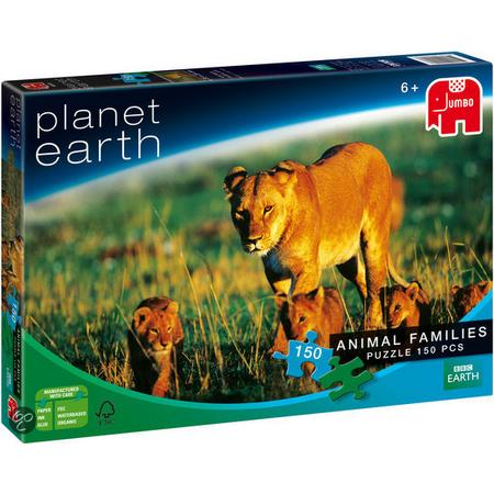 Planet Earth - Animal Families: Leeuw