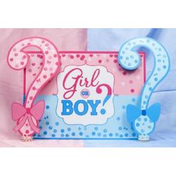 Geboorte - Versiering - Babyshower - Gender Reveal - Geslacht onthulling - Raam - Poster - Wanddoek - Banner van Polyester - 120cm (b) x 80cm (h) - Girl or Boy - Vraagtekens