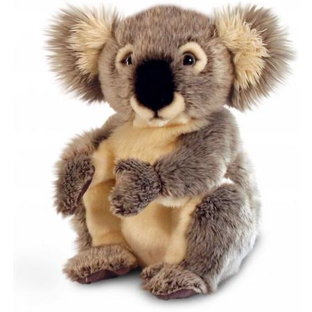 Pluche Koala knuffel 28 cm