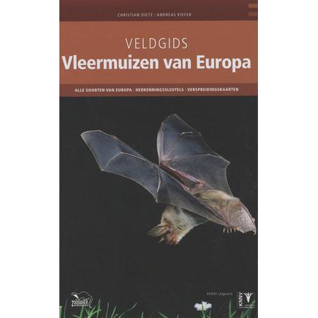 Kinderboeken KNNV Natuur - Veldgids vleermuizen van Europa