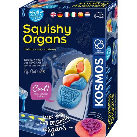 Fun Science - Squichy Organs