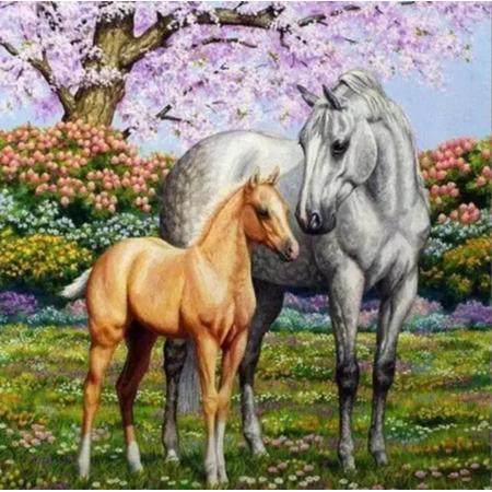 Diamond Painting Paarden - Pakket voor Volwassen en Kinderen - Volledige Diamont Painting inclusief Assecoires